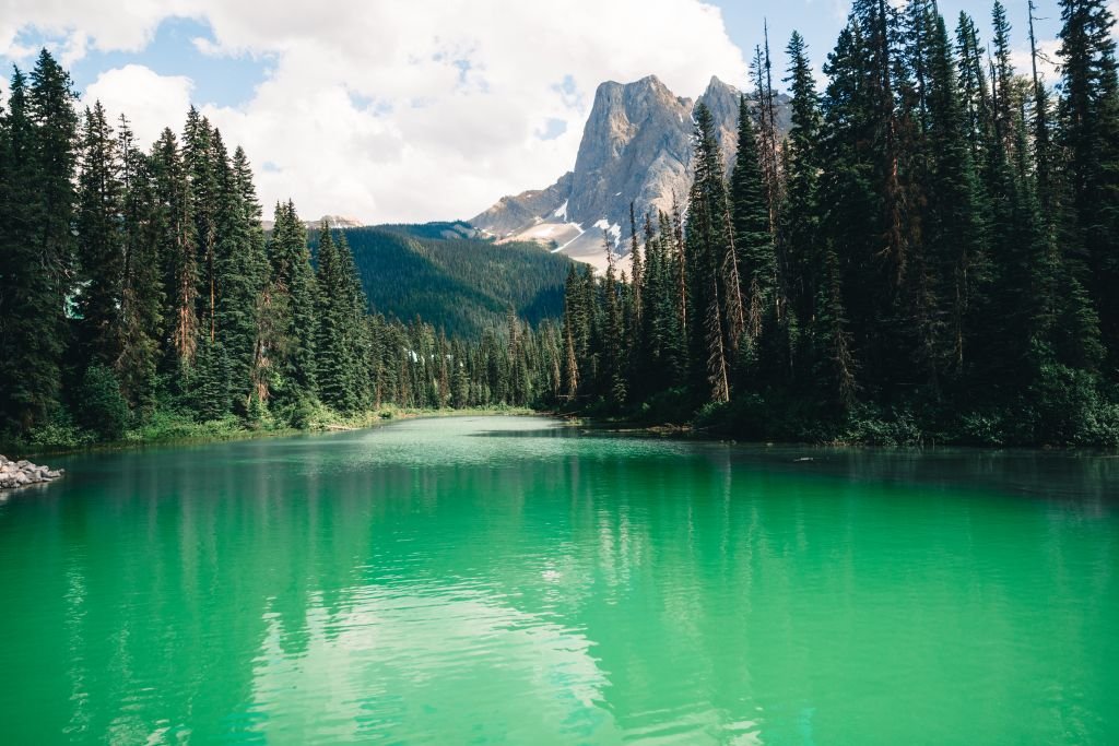 A stunning view of Emerald Lake surrounded by lush pines and mountains in British Columbia, Canada.