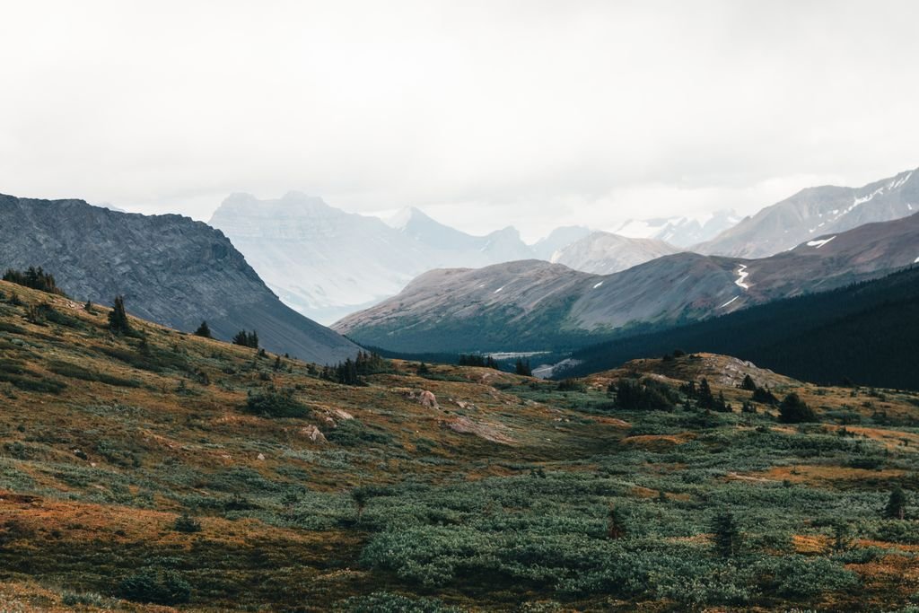 Breathtaking view of the rugged mountains and verdant meadows in Jasper National Park, Alberta.