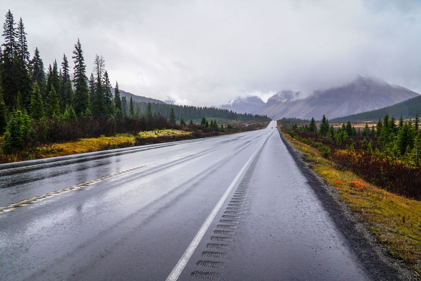 Scenic view of a wet road in Banff National Park, Alberta, with moody clouds.
