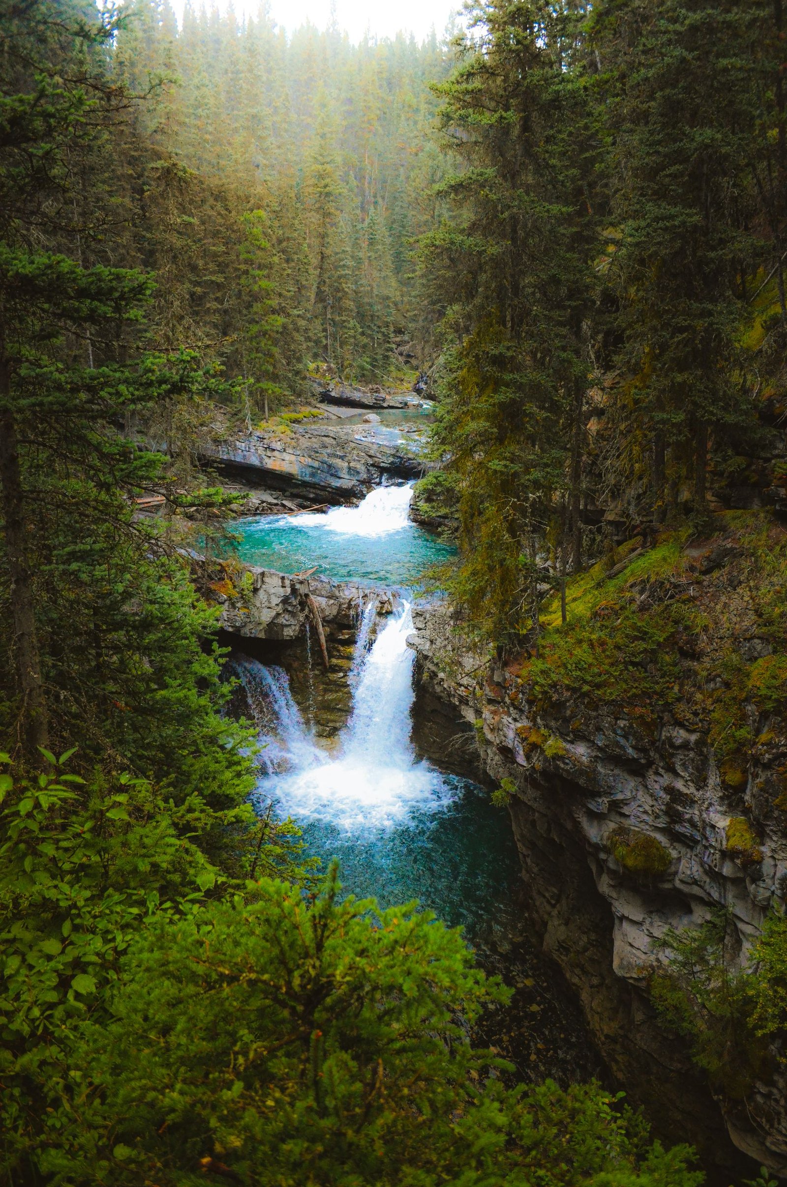 Scenic view of Johnston Canyon Lower Falls cascading in Banff National Park, Canada.